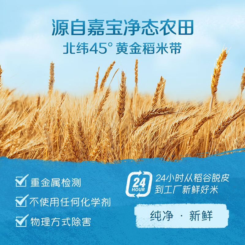 GERBER Carrot Infant High-Iron Rice Powder Vitamin C + Iron Baby Food Complementary Rice Powder 250g 6-12 Months 100% Authentic Factory