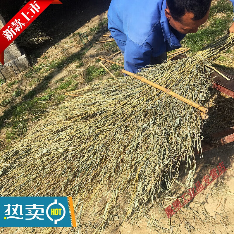 Best quality custom-made sanitation large broom, bamboo street sweeping, bamboo outdoor enlarged and widened sweeping yard broom, No. 5 bamboo leaf seedlings (delivered by the pound)