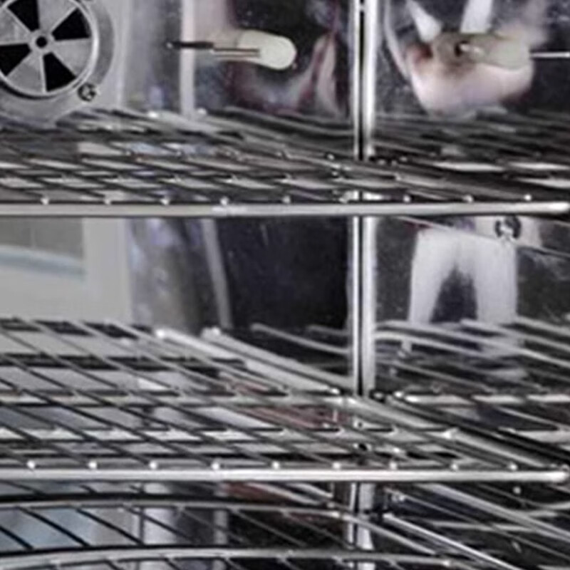 Yiheng Shanghai microbial incubator DHP-9011/31B laboratory peritoneal dialysate seed germination electric heating incubator DHP-9051