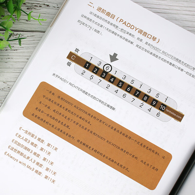 Blues Harmonica January Pass