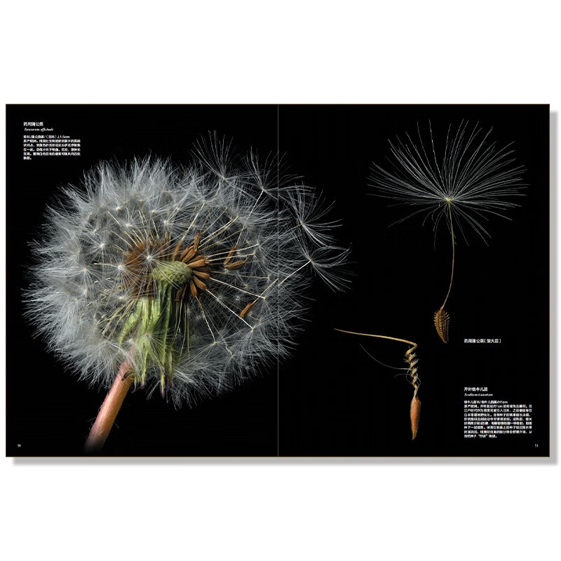 Infinitely Xiaoliang recommends an illustrated book of incredible fruit seeds in the world (free seed crystal pendant)