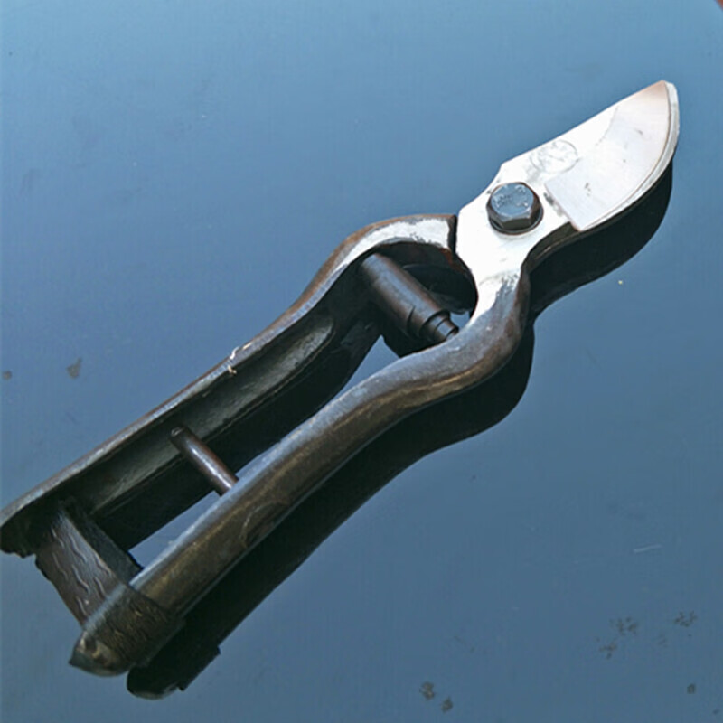 Shantou Lin Village old-fashioned Wangershan fruit tree scissors pruning shears gardening scissors labor-saving scissors thick branch pruning