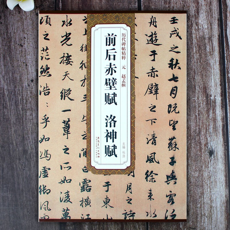 Chibi Fu before and after Zhao Mengfu, Luo Shen Fu, Yuan Dynasty, the essence of stele inscriptions, Zhao style running script calligraphy brush practice calligraphy, original inscriptions with simplified Chinese marginalia, Anhui Fine Arts Publishing House