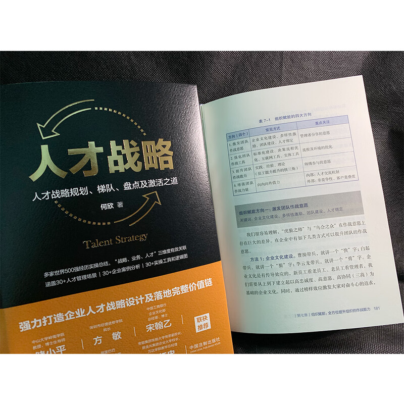 Talent strategy Talent strategic planning, echelon, inventory and activation methods (Easter egg version and author's signed version, limited edition and randomly sent)