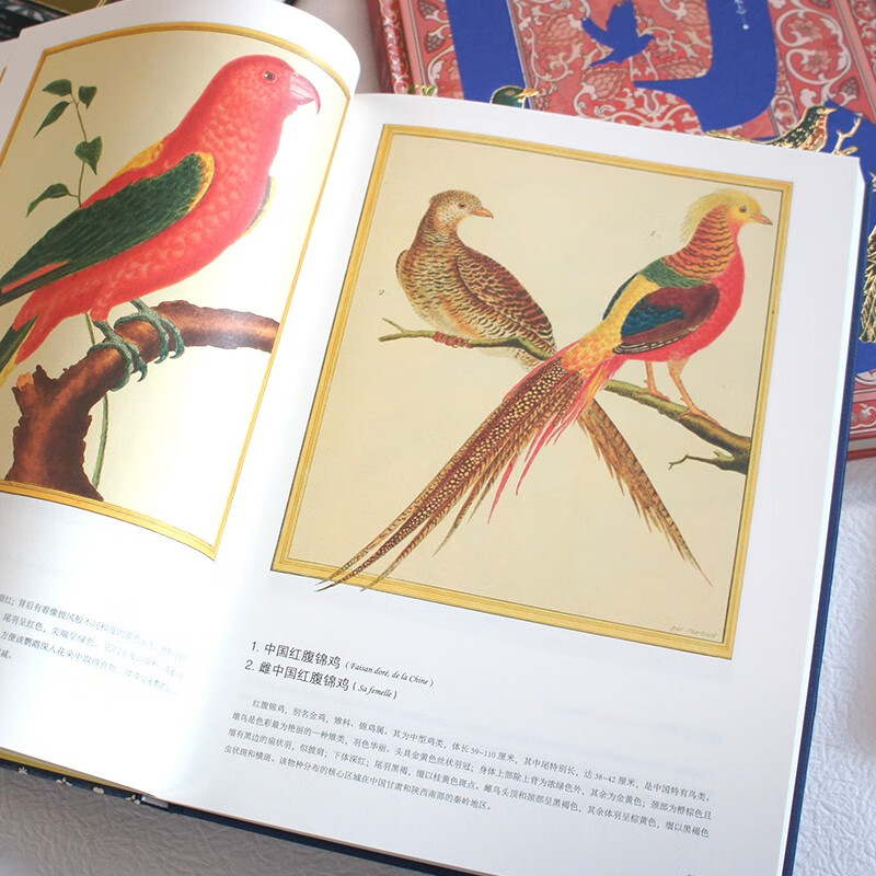 The Kingdom of Birds Atlas of Birds in European Engraving Art 1-5 (99 Natural History and Art Chronicles) (5 volumes in total)