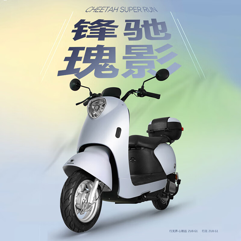 Five-star Diamond Leopard Electric Vehicle for Adults 60V20A Long Range High-Speed Electric Motorcycle 1200W Motor Little Turtle King Battery Vehicle G1 Angel White/Alloy White