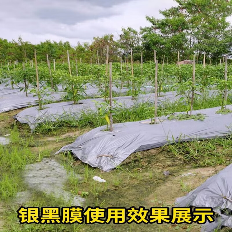 Silver and black two-color mulch film, new material, thickened insect-proof reflective mulch film covering weeding film, thermal insulation agricultural mulch film, silver and black 10 pounds 1.2 silk thick 1 meter wide 300 meters long