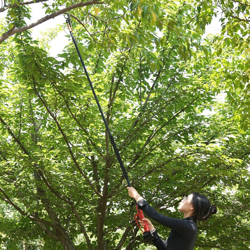 Nakamura Ichiro electric high branch shears rechargeable high-altitude tree branch shears garden lithium battery pruning shears electric agricultural tools 2.5CM high branch shears (2.7 meters)