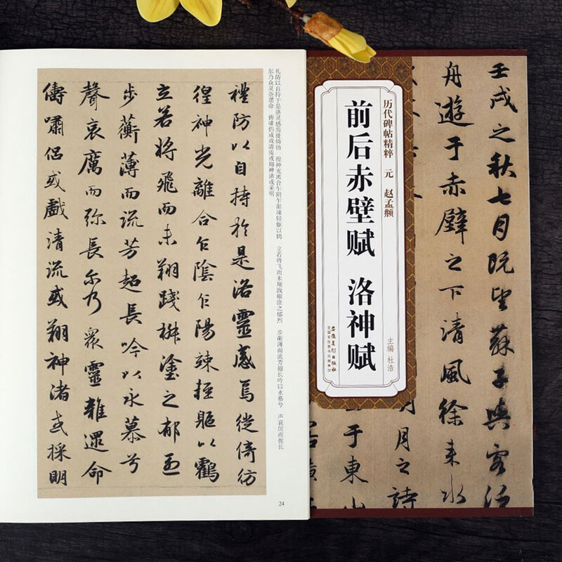 Chibi Fu before and after Zhao Mengfu, Luo Shen Fu, Yuan Dynasty, the essence of stele inscriptions, Zhao style running script calligraphy brush practice calligraphy, original inscriptions with simplified Chinese marginalia, Anhui Fine Arts Publishing House