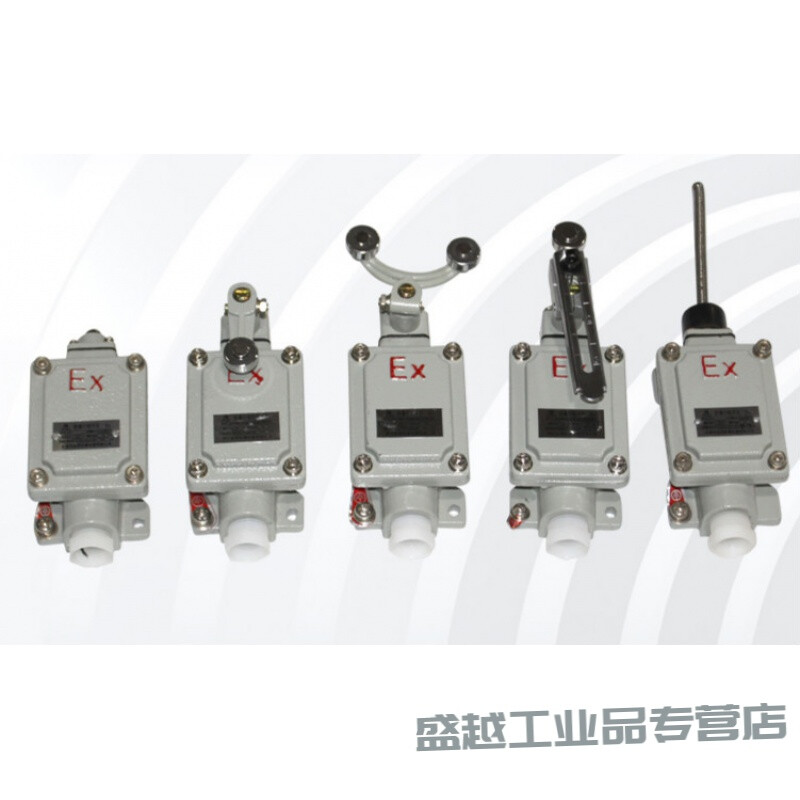 Explosion-proof lighting switch knob light switch single double triple single control double control SW10 16BZM220V380V explosion-proof foot switch