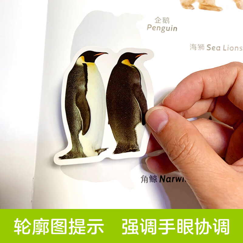 Children's Enlightenment Cognitive Sticker Book 0-6 years old (6 volumes in total) Chinese and English bilingual cognitive sticker book English Enlightenment Animals, fruits and vegetables shapes numbers letters colors shapes early education daily life items enlightenment cognition concentration training stickers left and right brain development games