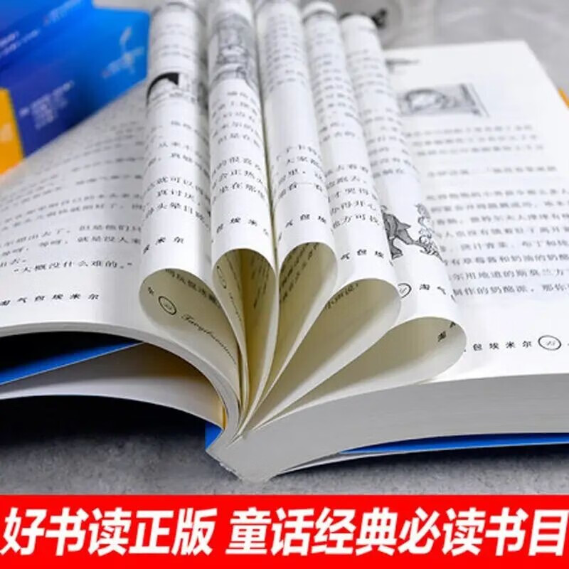 Selections of Lindgren's works, illustrated edition, Emil the Naughty Bag, world master of children's literature, extracurricular reading, reading, extracurricular books, summer homework, summer transition from primary to secondary school, summer transition from primary school to junior high school