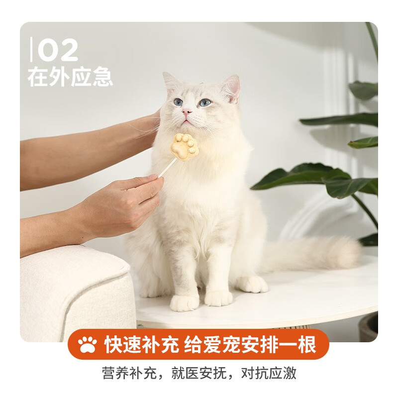 Red Dog Papi Sauce recommends 10 freeze-dried sticks, pumpkin flavored freeze-dried nutritious snacks for weight gain and teeth grinding