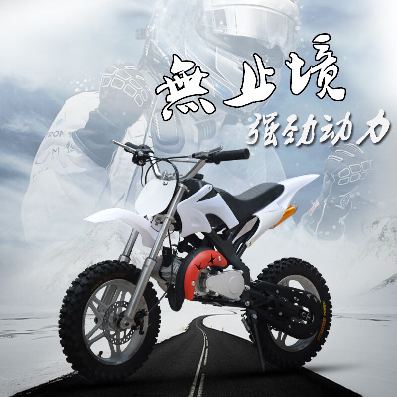Langchuang (LANGCHUANG) two-stroke children's motorcycle pull start motorcycle off-road vehicle entertainment adult mini racing fuel model enlarged wheels and off-road tires white