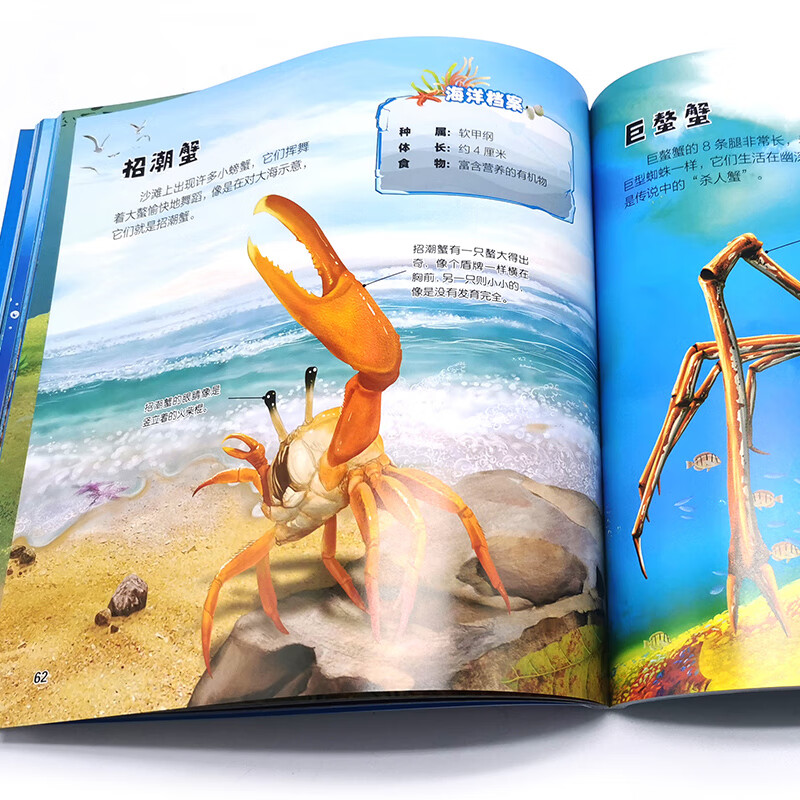 3-6 years old Ocean Illustration 105 kinds of sea animals that fascinate children