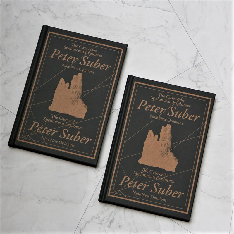 Wisdom Palace 005 The Strange Case in the Cave Recommended by Luo Xiang, get the Treasure House Series of Listening to This Book Every Day, New Translation and Revised Edition, Hardcover Collector’s Edition Wisdom Palace Series