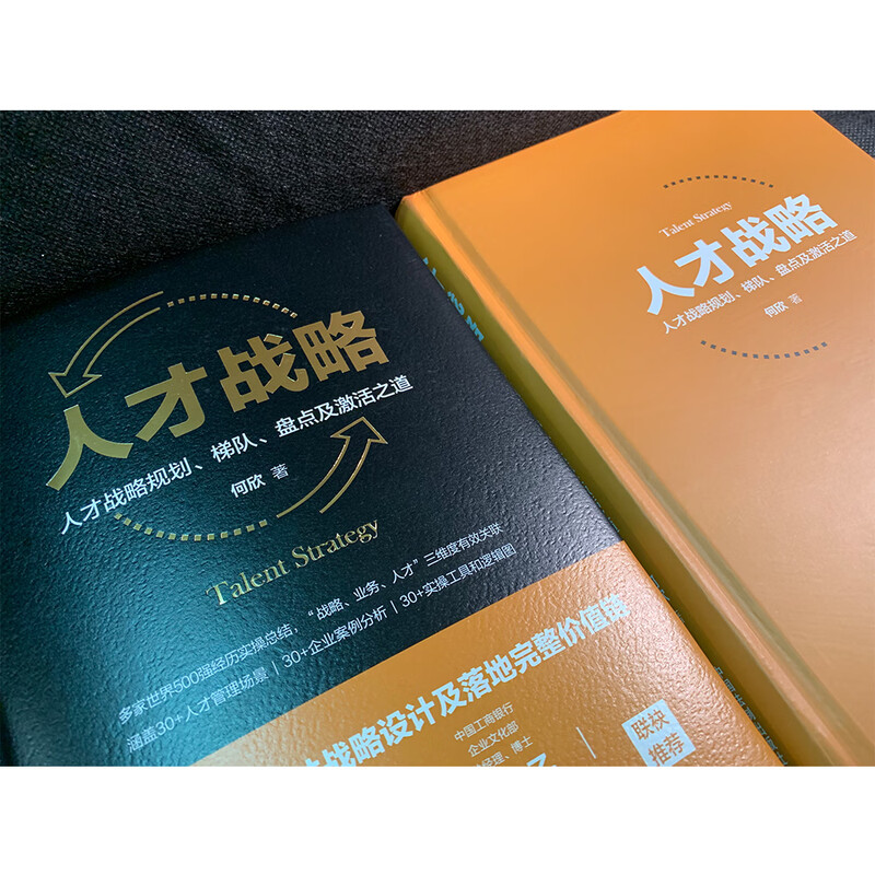 Talent strategy Talent strategic planning, echelon, inventory and activation methods (Easter egg version and author's signed version, limited edition and randomly sent)