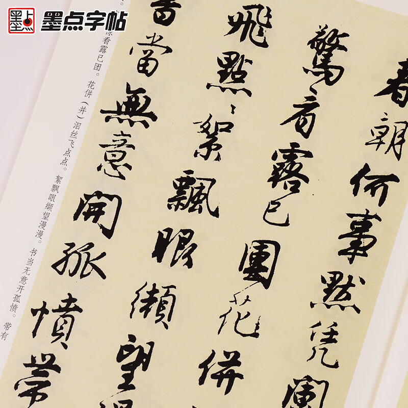 Ink dot copybook, Tang Yin Shu's Falling Flowers Poetry Album, Brush Calligraphy Original Copybook, Traditional Chinese Annotation, Selected Tang Bohu's Stele Calligraphy