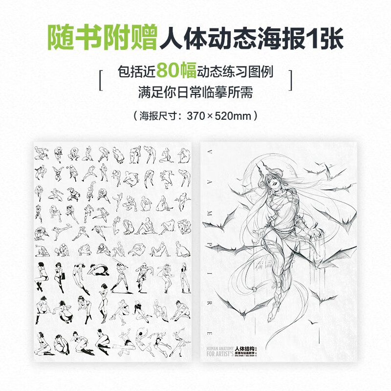 Principles of human body structure and painting teaching Xiao Weichun A zero-based introduction to human body structure modeling painting Free human body dynamic poster + video