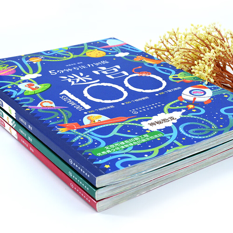 5-minute concentration training maze for 3-6 years old 100 cars, dinosaurs, princesses, Chinese characters, idioms (set of 5 volumes)