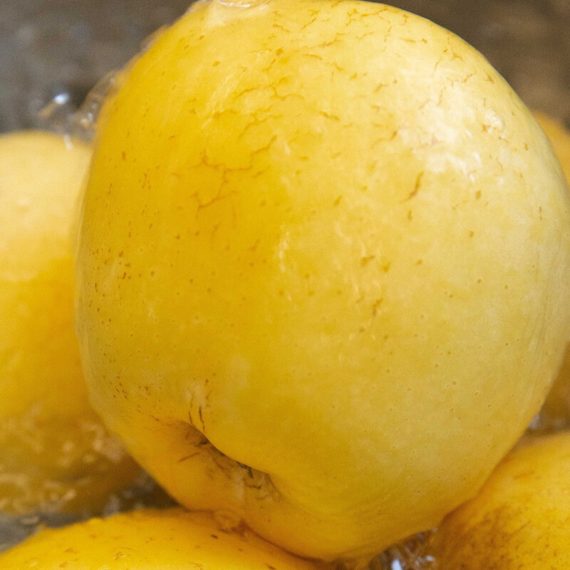 Organic Venus Red Fuji seasonal fruit fresh farm straight hair unwaxed Spring Festival gifts organic Venus apple 60-70mm (about 3 pounds of baby fruit)