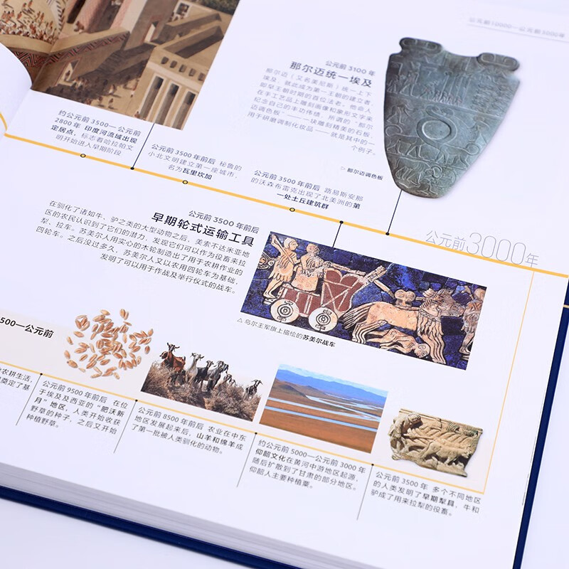 Global History on DK Timeline Family Books for the Whole Family to Read DK Produced Timeline Human History Global History New Perspectives Brief History of Humanity World History Major Events Introduction CITIC Publishing House