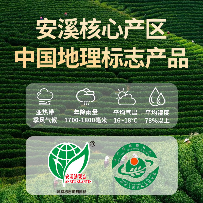 Legend Club Oolong Tea Anxi Tieguanyin Fresh Fragrance First Grade 500g Light Fire Tea Gift Box Packed New Tea for Yourself to Drink as a Gift