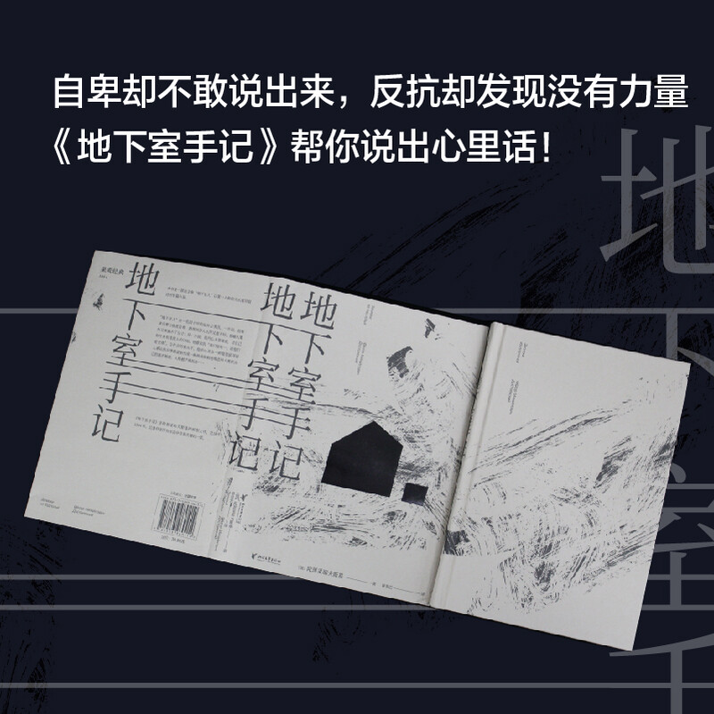 Notes from the Basement (the version recommended by Teacher Luo Xiang, ranked on Douban's 2020 reading classic list, a translation with a high reputation of 9.5 points, and five-star reviews by thousands of people!) Novel