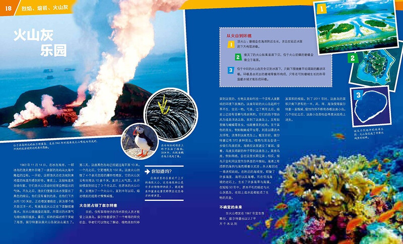 German Children's Encyclopedia of Knowledge Volume 1 Volcano Exploration Debai Hardcover Collector's Edition What is Wasistwas Encyclopedia 7-10 Years Old First Grade Second Grade Primary School Children's Encyclopedia of Popular Science Science Knowledge Extracurricular Reading Books