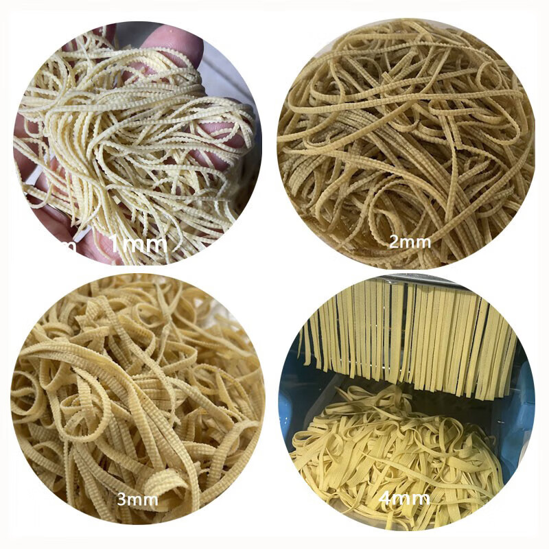 Zhulong pepper shredding machine lotus leaf tangerine peel tofu skin shredding machine household shredding machine 1 mm 550W motor