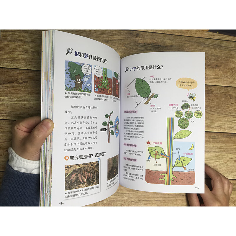 This is Science (3 volumes in total) covers primary and secondary school physics, chemistry, biology, geography, comic science, graphic subjects, science enlightenment