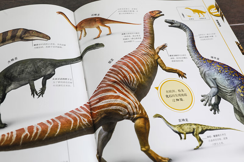 DK Children's Illustrated Encyclopedia Dinosaur Age Hardcover Genuine Panorama of the Prehistoric World Popular Science Books for Primary School Students 6-12 Years Old Dinosaur Fossil Exploration Introduction to Paleontology