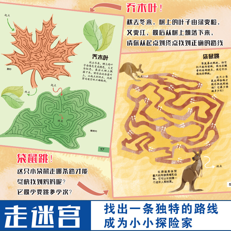 British magical concentration training game book, 6 volumes in total, puzzle left and right brain development game, find different mazes, adventure logical reasoning, large format, thick green printing