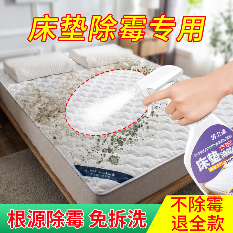 Bizhidao Mattress Mildew Remover Removes Mold Spots, Curtains, Fabrics, Sofa Quilts, Mildew Remover, Household Mildew Remover, Mattress Mildew Remover, Mattress Mildew Remover