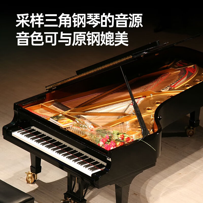 Terrence electronic keyboard 88-key folding piano for adults and children, beginner electric piano keyboard teaching instrument V10 portable piano, elegant black + original piano bag + Z-shaped piano stand