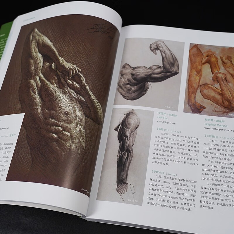 Human Anatomy for 3D Art