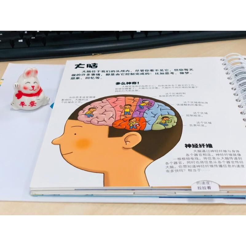 Xinhua Genuine Our Body 3D Book Fun Picture Book Physiological Enlightenment Our Body