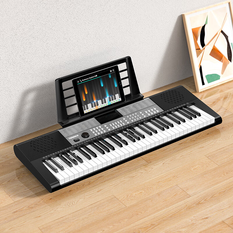 Terrence electronic keyboard 61-key multifunctional intelligent teaching electronic keyboard for children to learn musical instruments