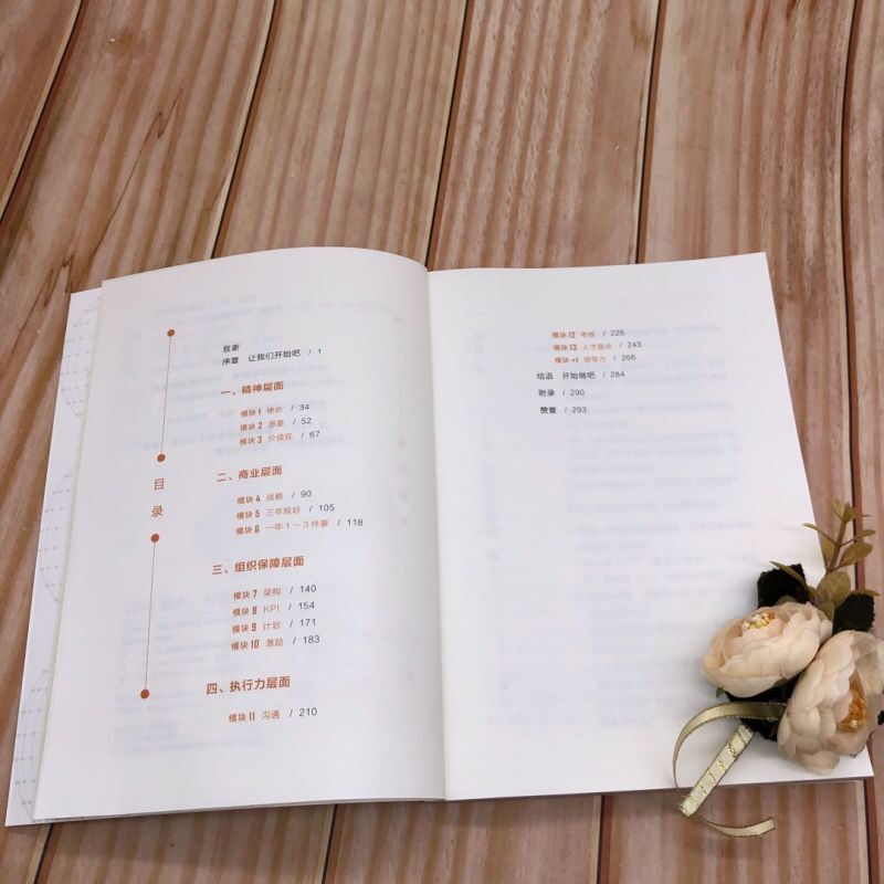 13+1 system to create a sustainable and healthy organization