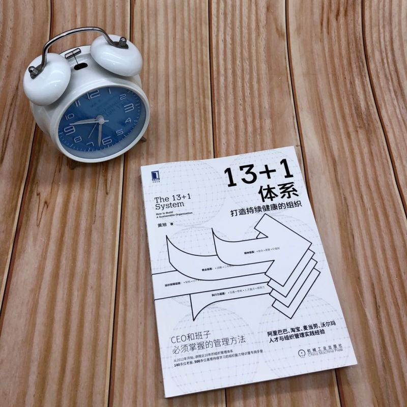 13+1 system to create a sustainable and healthy organization