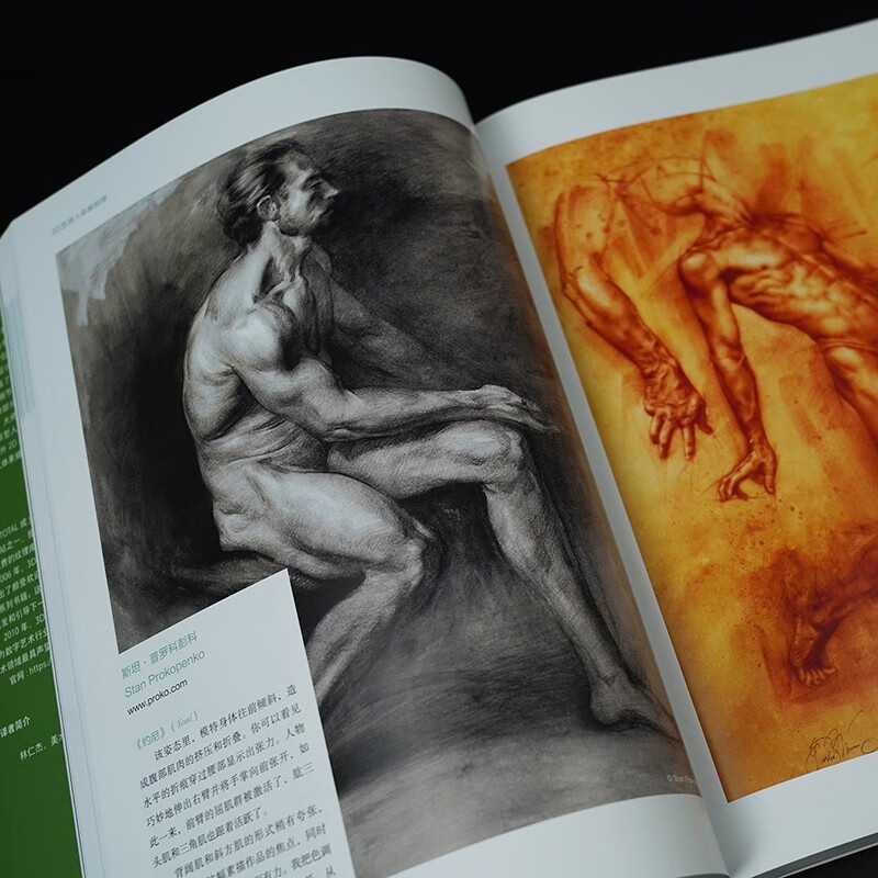 Human Anatomy for 3D Art