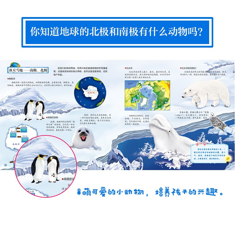 Panorama tells a brief history of the Earth. An encyclopedia picture book of the Earth for children (China Environmental Labeling Products, Green Printing)