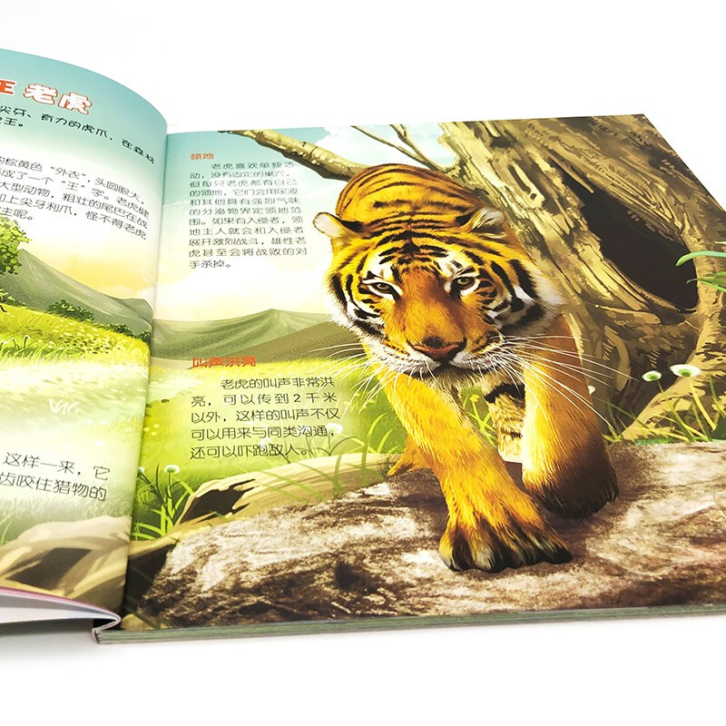 3-6 years old Children's Eyes on the World Science Museum Forest Animals