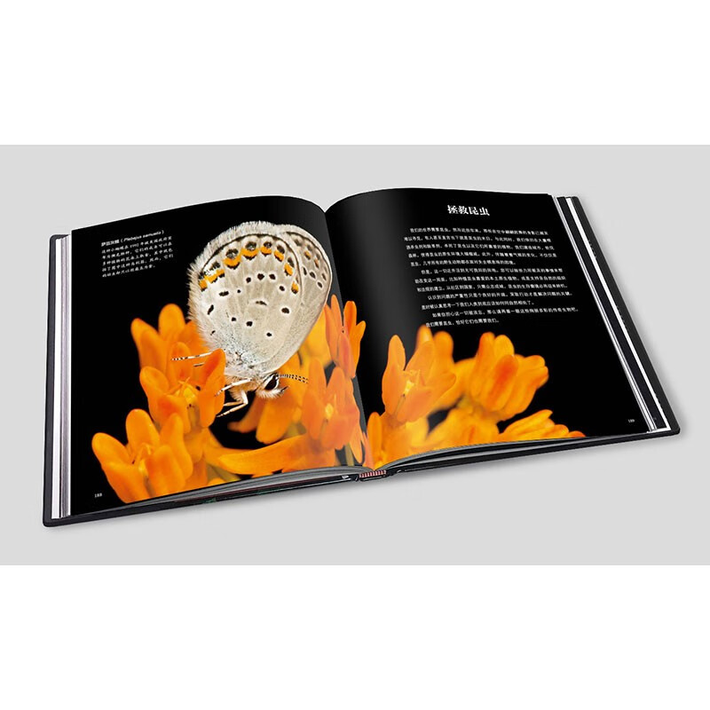 National Geographic Complete Book of Wonderful Insects