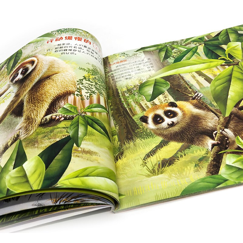 3-6 years old Children's Eyes on the World Science Museum Forest Animals