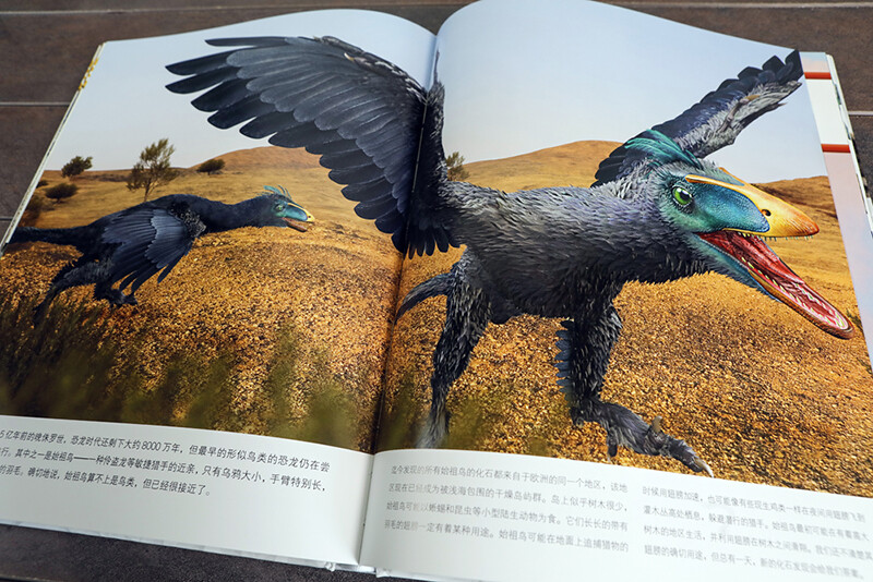 DK Children's Illustrated Encyclopedia Dinosaur Age Hardcover Genuine Panorama of the Prehistoric World Popular Science Books for Primary School Students 6-12 Years Old Dinosaur Fossil Exploration Introduction to Paleontology