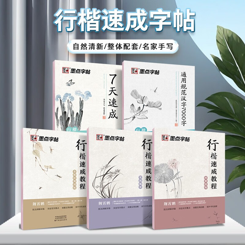 Ink dot copybook, quick introduction to regular script 5-volume set, hard-pen calligraphy copying and calligraphy practice book by Jing Xiaopeng, adult calligraphy practice book for college students, handwriting copying and red calligraphy practice book for beginners