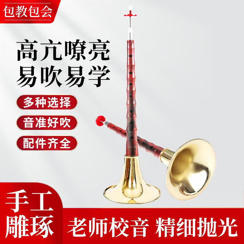 Range (RANGE) D-key suona imitation red sandalwood golden bowl for beginners to practice playing high-end adult suona instruments