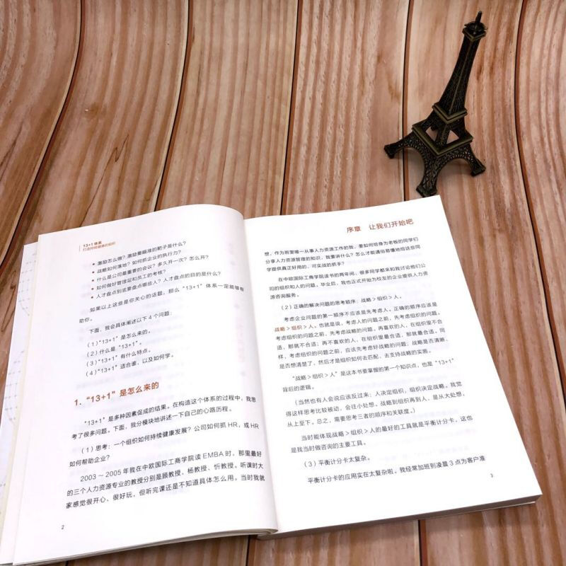 13+1 system to create a sustainable and healthy organization