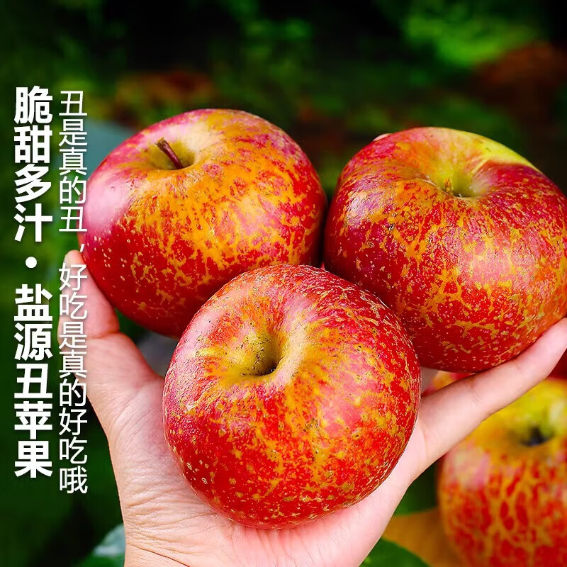 Jingdida Sichuan Daliangshan Ugly Apple, net weight 8 pounds, single fruit 85mm+, fresh fresh fruits shipped directly from the source, free shipping